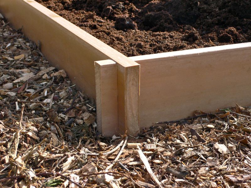 Raised beds have many advantages for optimal growing conditions