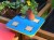 Children's Gardening Exploration Table - Set of 4  Recycled Plastic