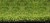 Artificial Garden Grass  20mm Pile Depth  Dog-friendly