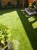 Artificial Park Grass  40mm Pile Depth  Dog-friendly