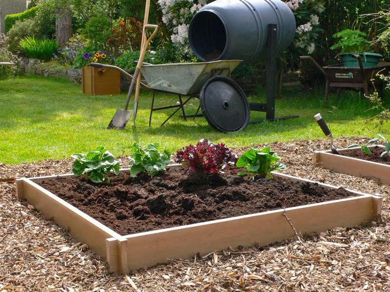Raised beds create alot of garden from a little space