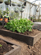 Recycled Plastic Raised Beds