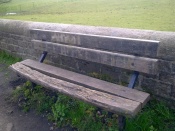 Rotten Wooden Bench