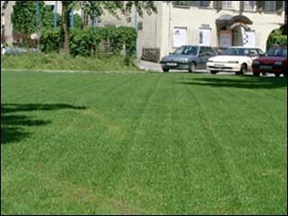 Recycled Plastic Ground Drainage Solution