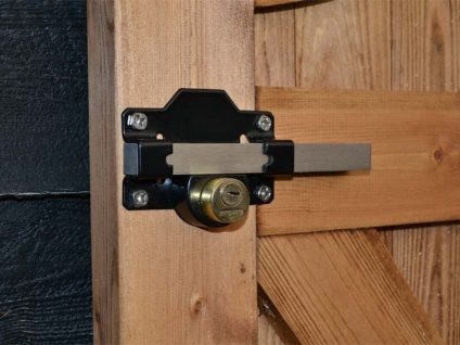 Premium RIMLOCK Double Locking Bolt