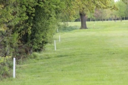 Golf Course Marker Post - Recycled Plastic Wood